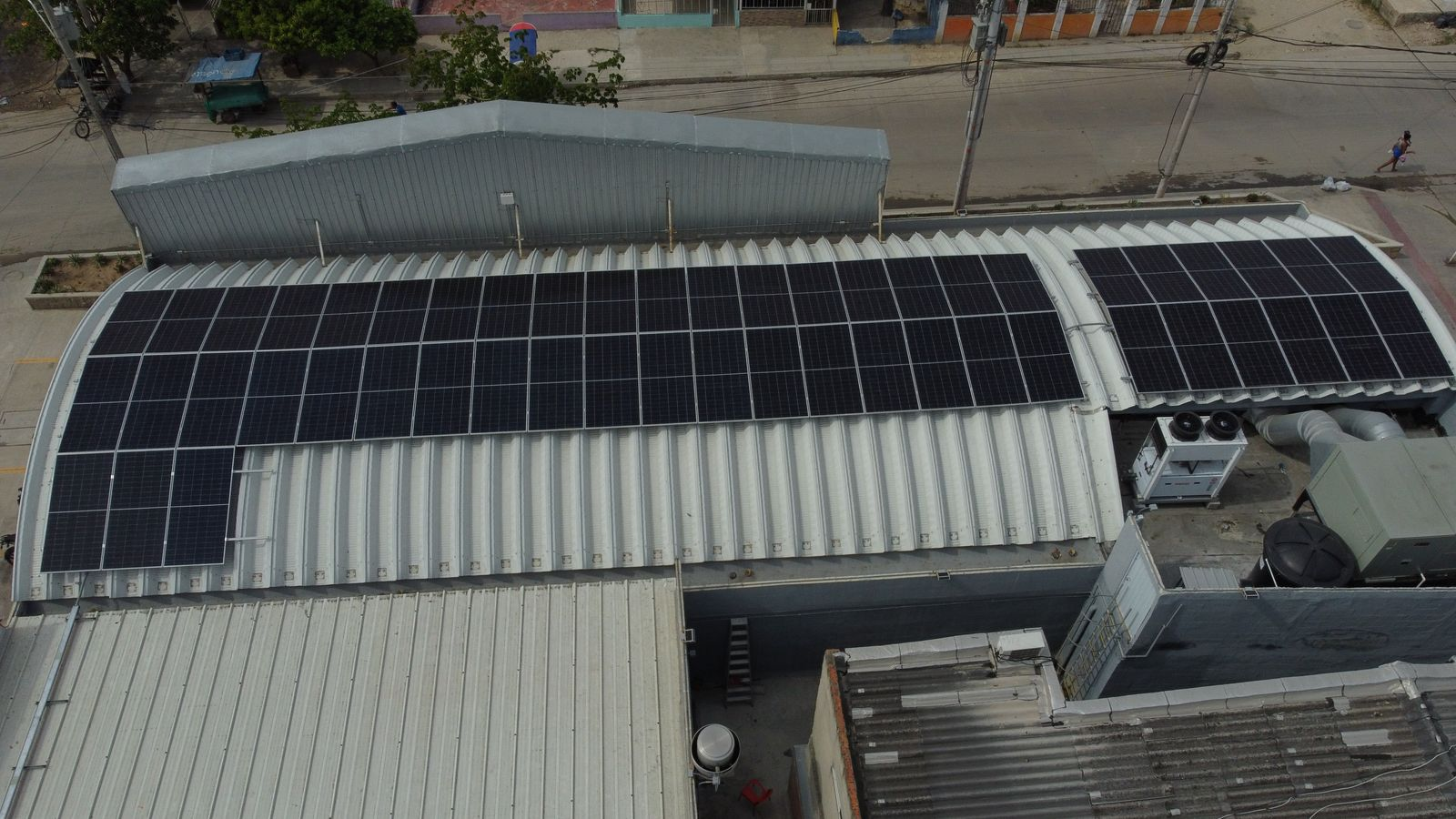 Imagen de Ara cienega de oro