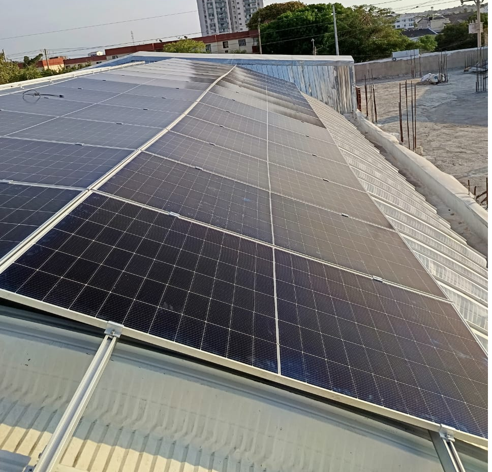 Imagen de Ara cienega de oro